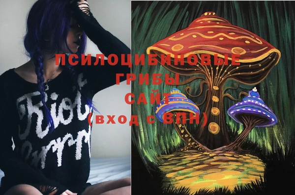а пвп мука Алексеевка
