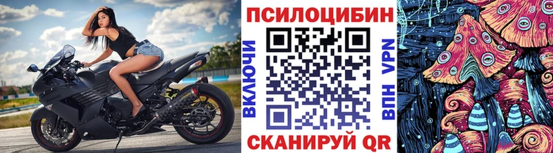 ОМГ ОМГ маркетплейс  где найти   Бокситогорск  Псилоцибиновые грибы Magic Shrooms 