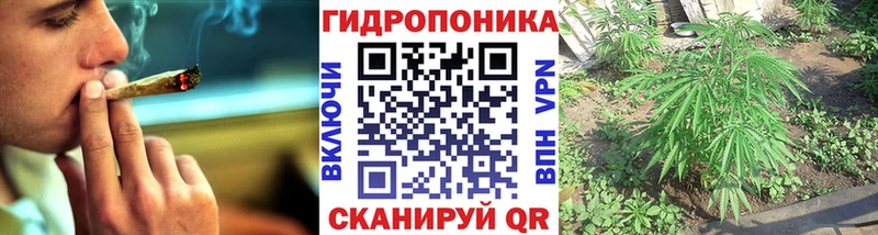 площадка состав  Бокситогорск  Бошки марихуана AK-47 